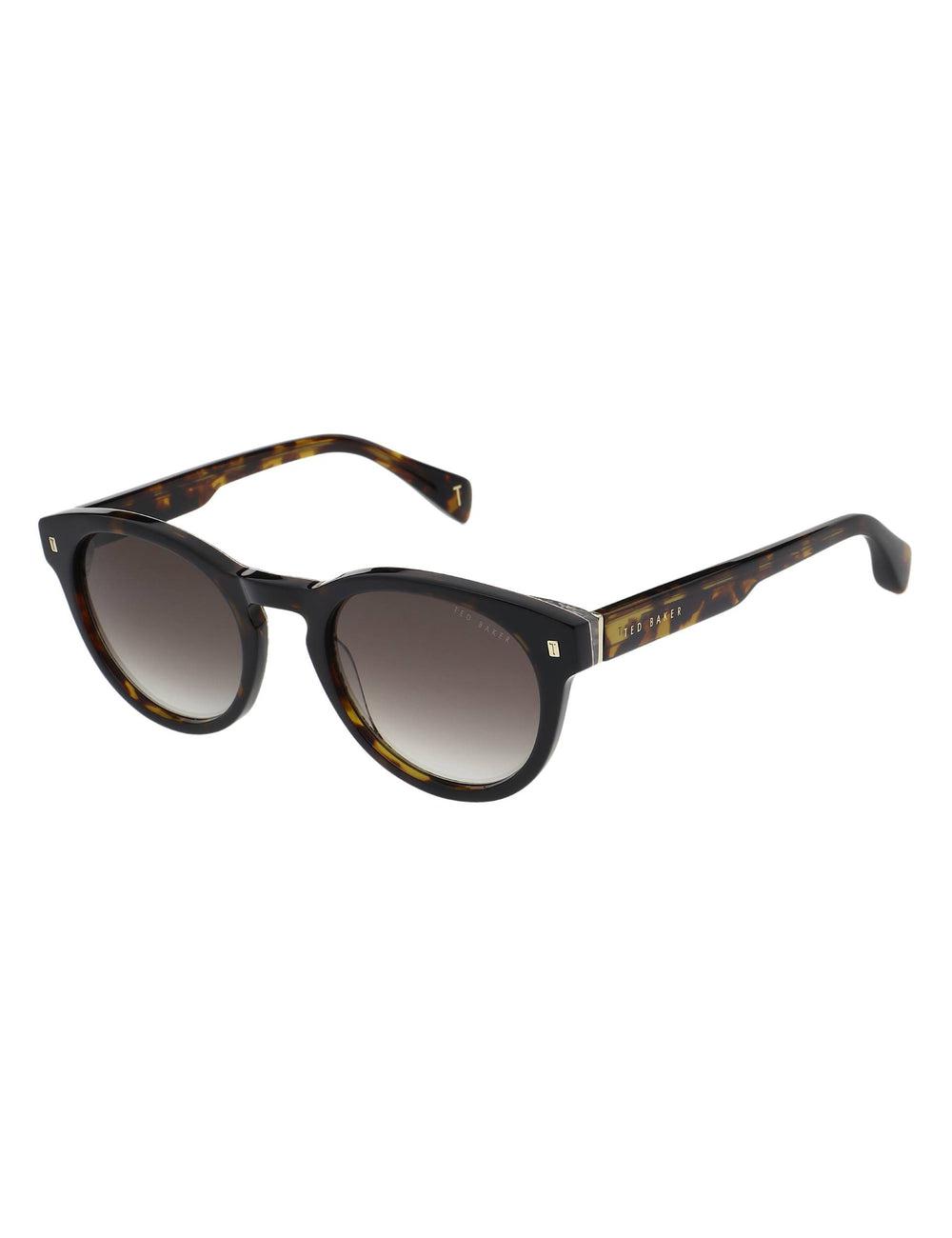 Ted Baker DAX - Round Chunky Temple Zonnebril Heren Bruin | Belgium  374509-OTE