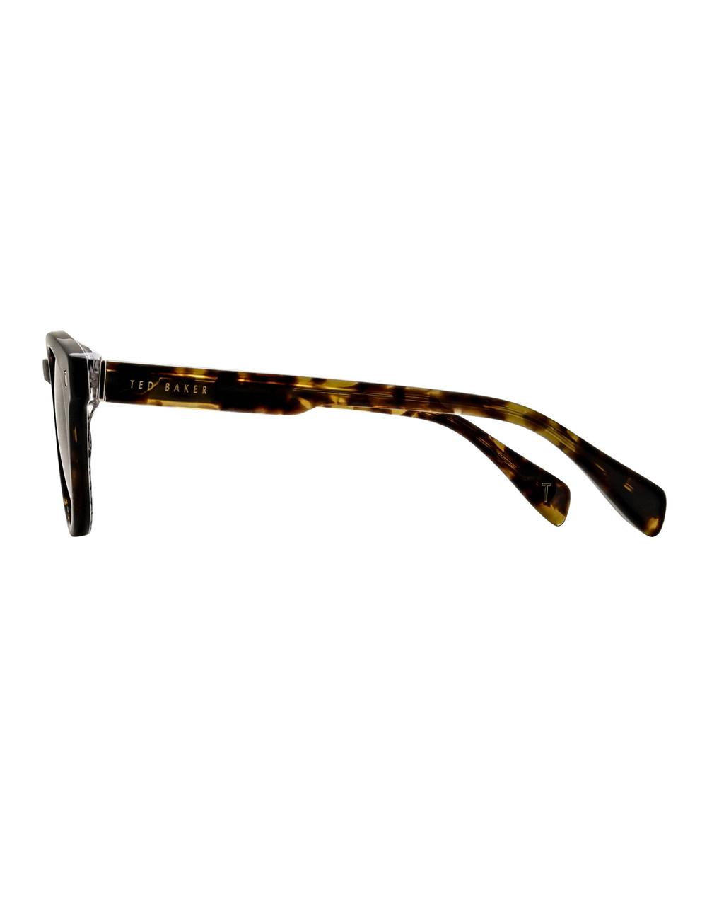 Ted Baker DAX - Round Chunky Temple Zonnebril Heren Bruin | Belgium  374509-OTE