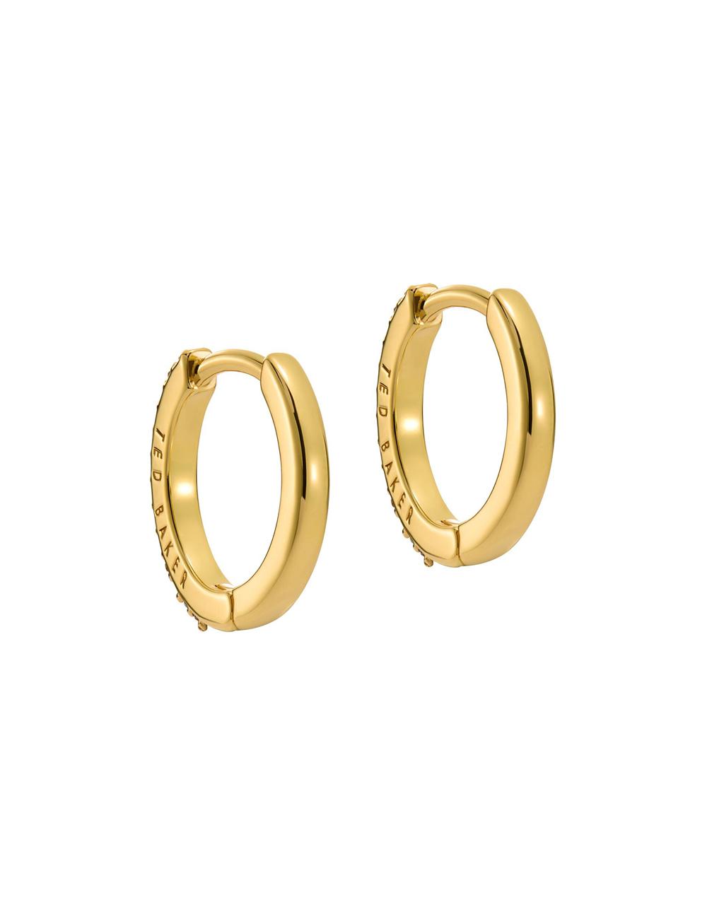 Ted Baker HEPLIE - Crystal Huggie Hoop Oorbellen Dames Multicol | Belgium  108537-FTD