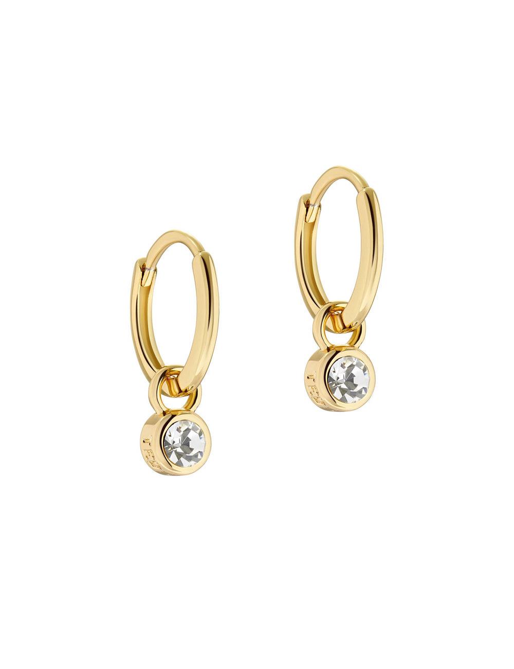 Ted Baker SINALAA - Crystal Pendant Huggie Oorbellen Dames Goud | Belgium  492561-QVY